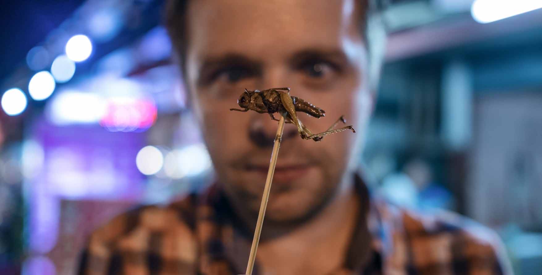 Eating Insects