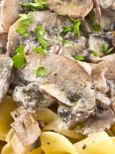 Mushroom Stroganoff