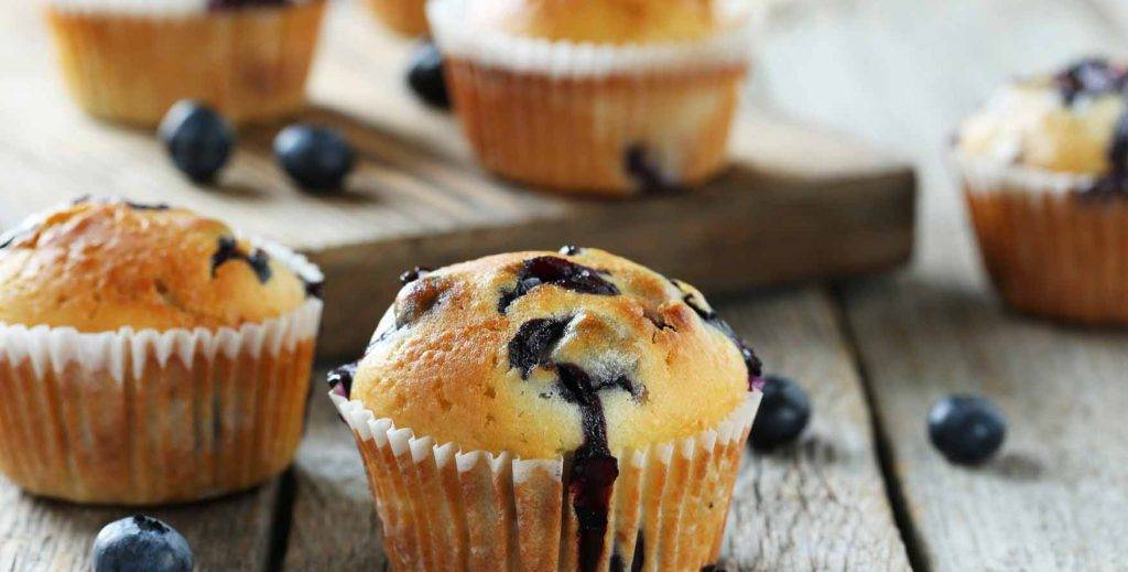 Blueberry Muffin