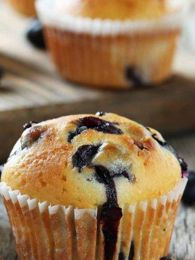 Blueberry Muffin