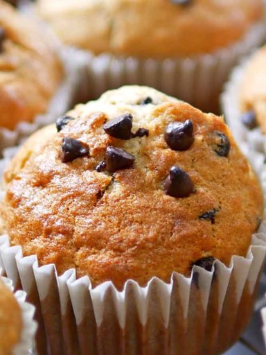 Chocolate Chip Muffin